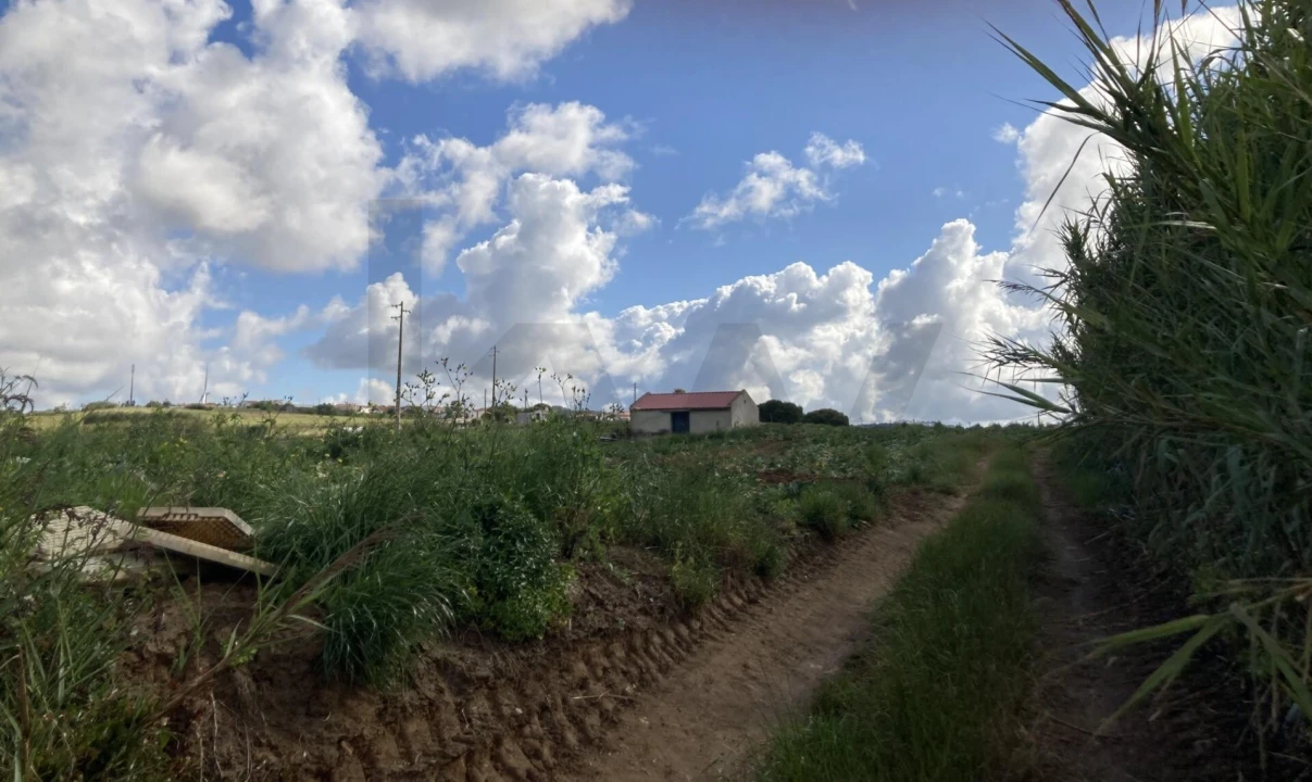 Terreno para Venda em Lourinhã e Atalaia Foto 7
