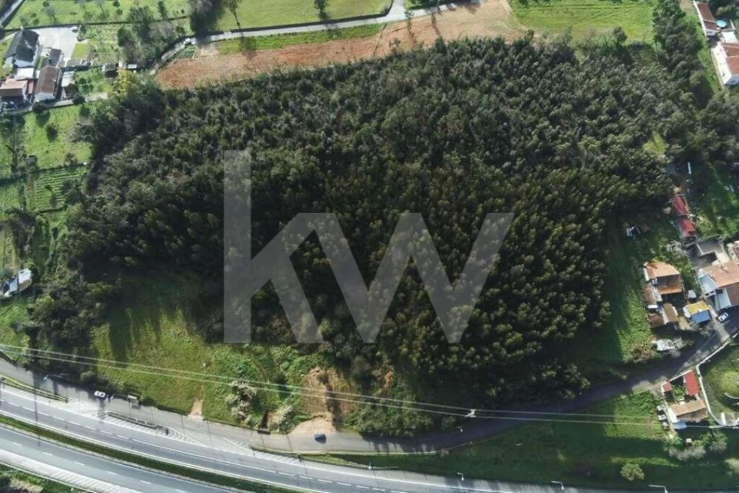 Terreno para Venda em São Martinho de Árvore e Lamarosa Foto 14