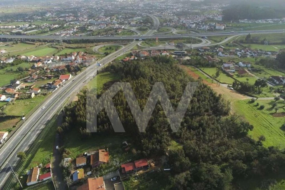 Terreno para Venda em São Martinho de Árvore e Lamarosa Foto 2