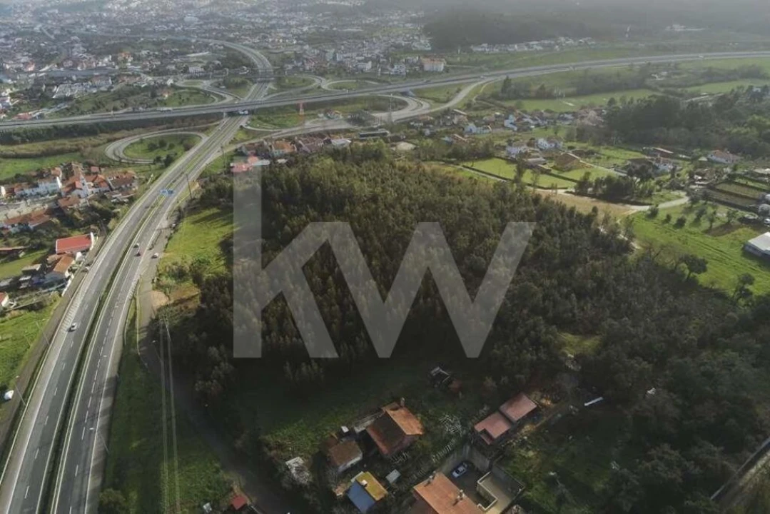 Terreno para Venda em São Martinho de Árvore e Lamarosa Foto 10