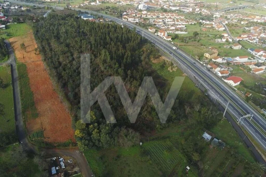 Terreno para Venda em São Martinho de Árvore e Lamarosa Foto 7