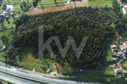 Terreno para Venda em São Martinho de Árvore e Lamarosa