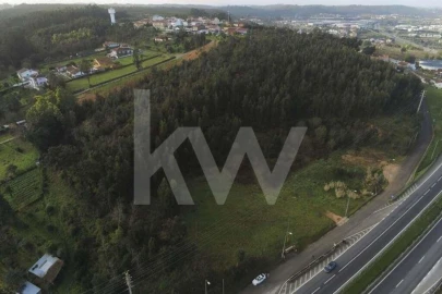 Terreno para Venda em São Martinho de Árvore e Lamarosa