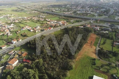 Terreno para Venda em São Martinho de Árvore e Lamarosa