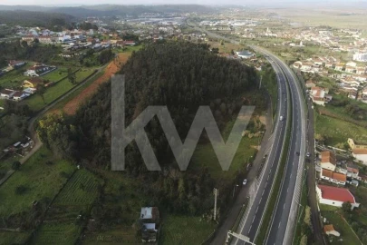 Terreno para Venda em São Martinho de Árvore e Lamarosa