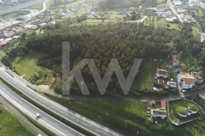 Terreno para Venda em São Martinho de Árvore e Lamarosa