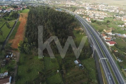 Terreno para Venda em São Martinho de Árvore e Lamarosa