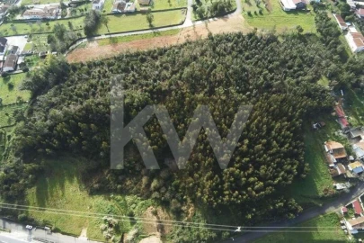 Terreno para Venda em São Martinho de Árvore e Lamarosa
