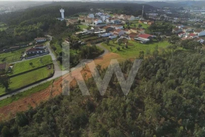 Terreno para Venda em São Martinho de Árvore e Lamarosa