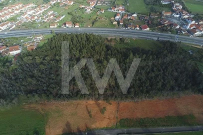 Terreno para Venda em São Martinho de Árvore e Lamarosa