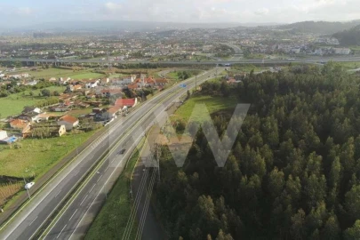 Terreno para Venda em São Martinho de Árvore e Lamarosa