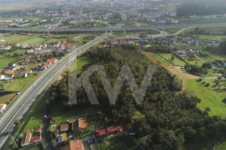 Terreno para Venda em São Martinho de Árvore e Lamarosa Foto 2