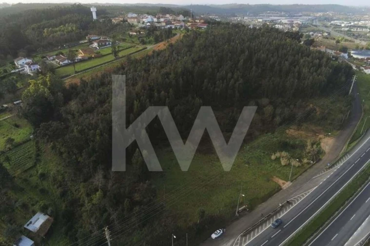 Terreno para Venda em São Martinho de Árvore e Lamarosa Foto 3