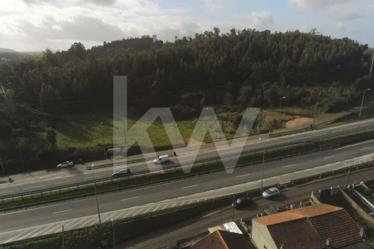Terreno para Venda em São Martinho de Árvore e Lamarosa Foto 21