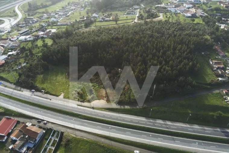 Terreno para Venda em São Martinho de Árvore e Lamarosa Foto 16