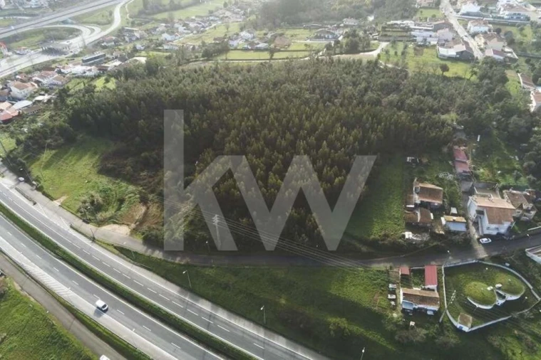 Terreno para Venda em São Martinho de Árvore e Lamarosa Foto 12
