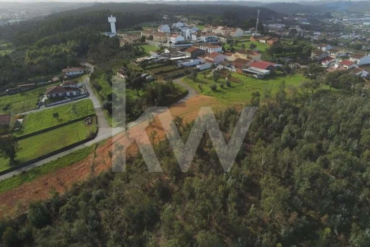 Terreno para Venda em São Martinho de Árvore e Lamarosa Foto 19