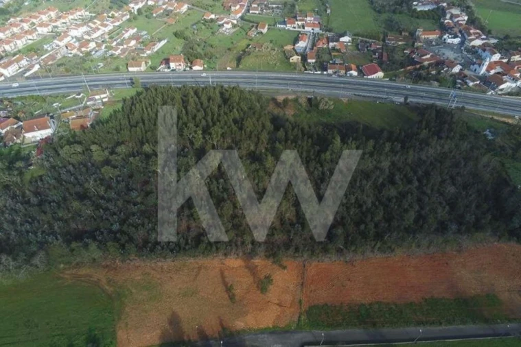 Terreno para Venda em São Martinho de Árvore e Lamarosa Foto 9