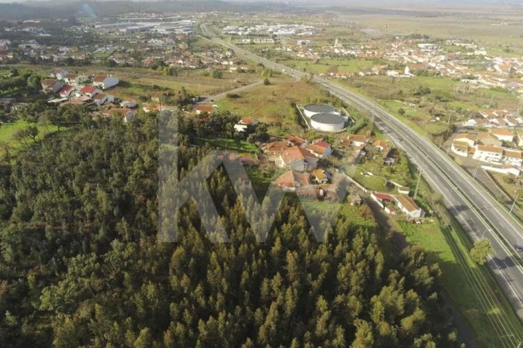 Terreno para Venda em São Martinho de Árvore e Lamarosa Foto 15