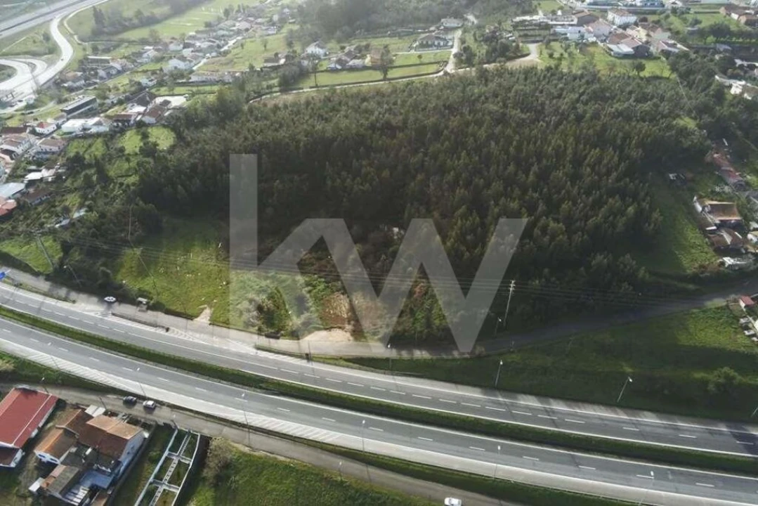 Terreno para Venda em São Martinho de Árvore e Lamarosa Foto 16