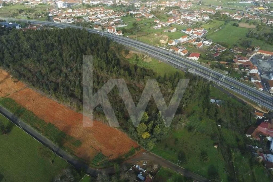 Terreno para Venda em São Martinho de Árvore e Lamarosa Foto 8