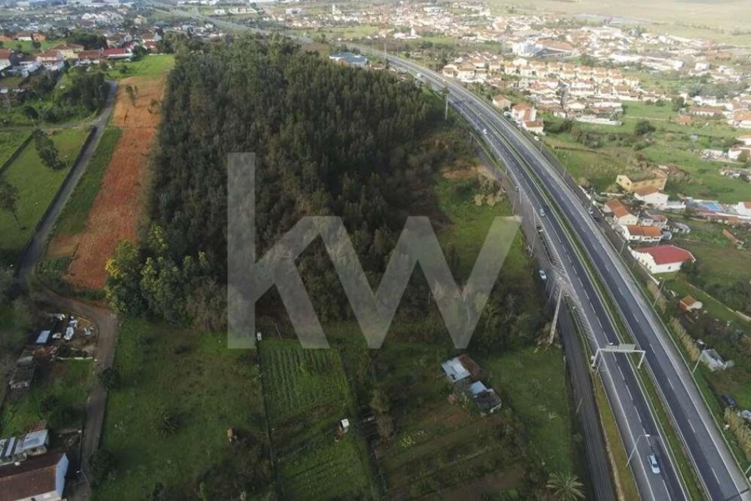 Terreno para Venda em São Martinho de Árvore e Lamarosa Foto 6