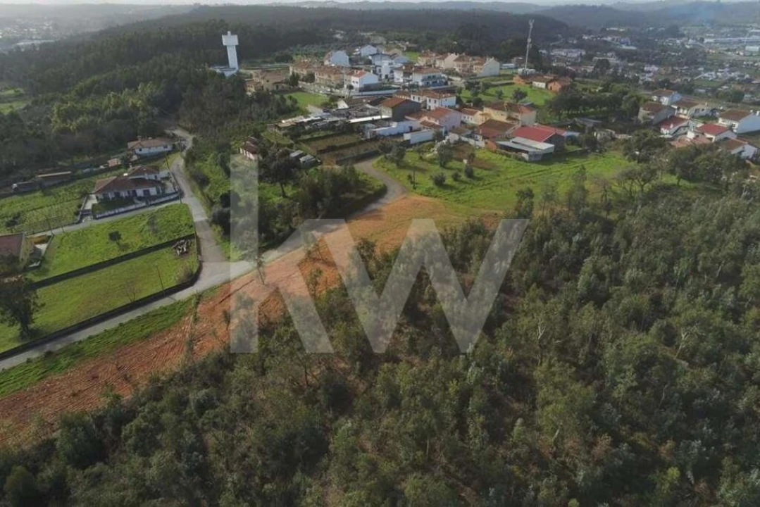 Terreno para Venda em São Martinho de Árvore e Lamarosa Foto 19