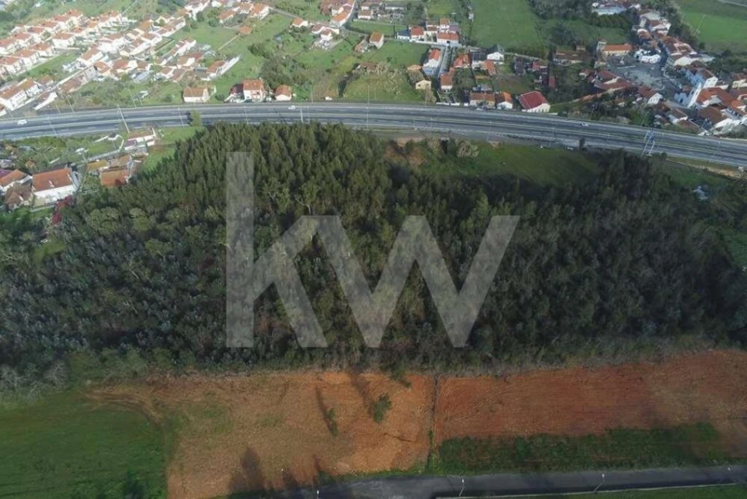 Terreno para Venda em São Martinho de Árvore e Lamarosa Foto 9