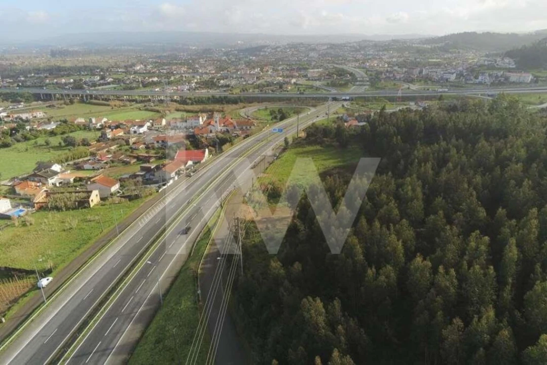 Terreno para Venda em São Martinho de Árvore e Lamarosa Foto 20