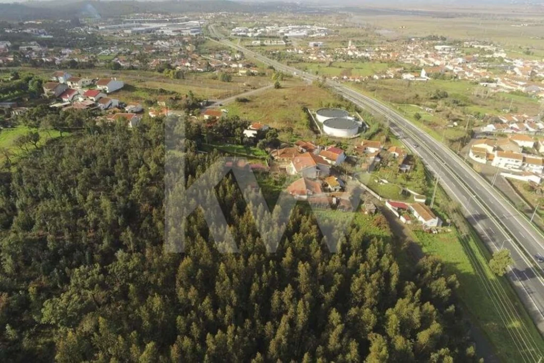 Terreno para Venda em São Martinho de Árvore e Lamarosa Foto 15