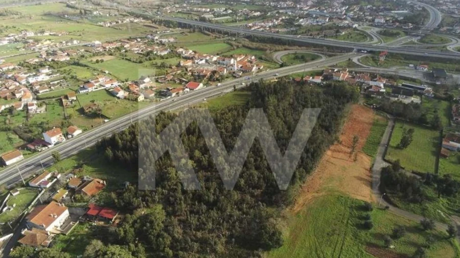Terreno para Venda em São Martinho de Árvore e Lamarosa