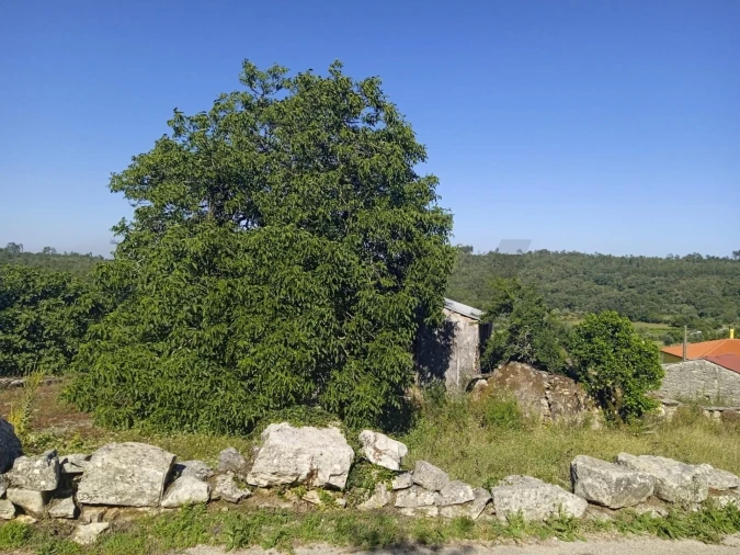 Moradia T3 para Venda em Degracias e Pombalinho Foto 10