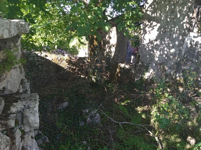 Moradia T3 para Venda em Degracias e Pombalinho Foto 2