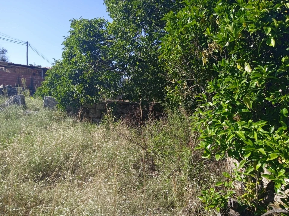 Moradia T3 para Venda em Degracias e Pombalinho Foto 11