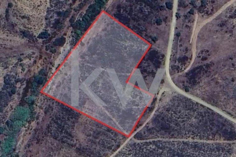 Terreno para Venda em Martim Longo