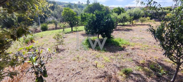 Terreno para Venda em Brasfemes