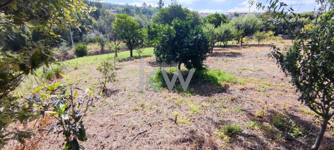 Terreno para Venda em Brasfemes Foto 10