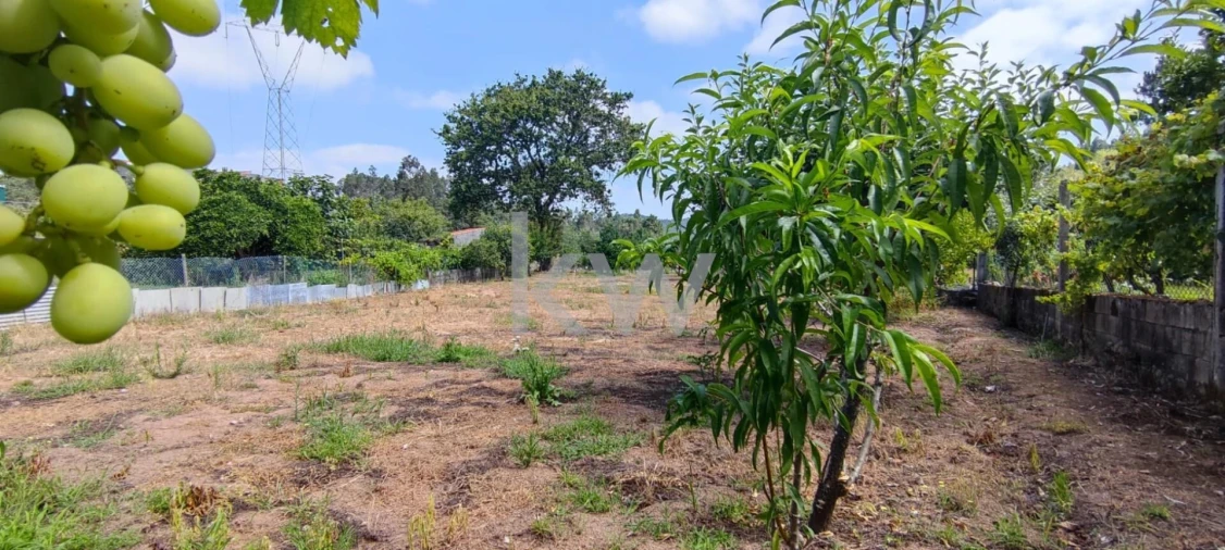 Terreno para Venda em Brasfemes Foto 3