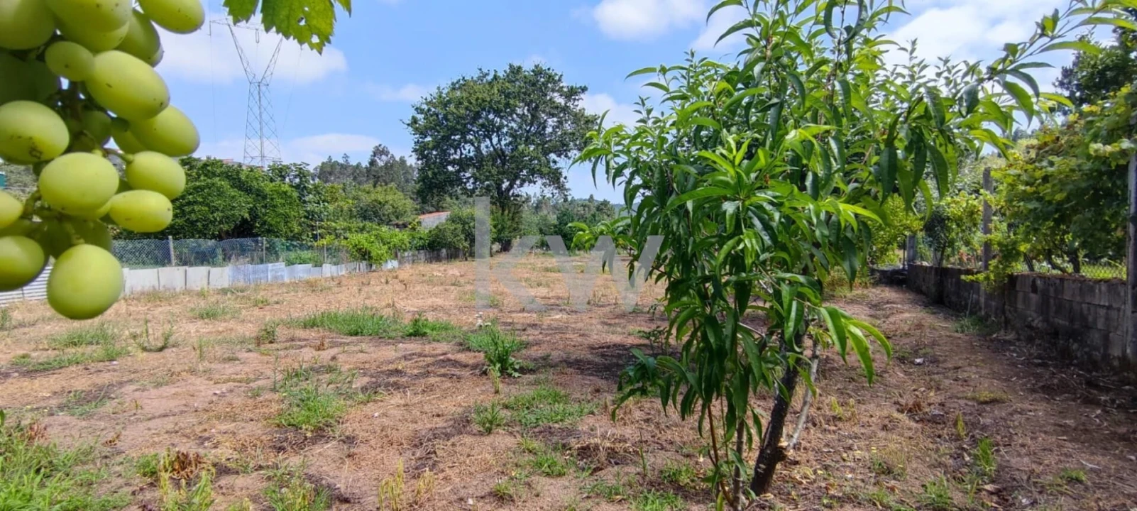 Terreno para Venda em Brasfemes Foto 3