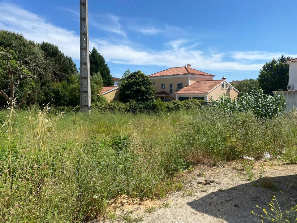 Terreno para Venda em Rio Maior Foto 10