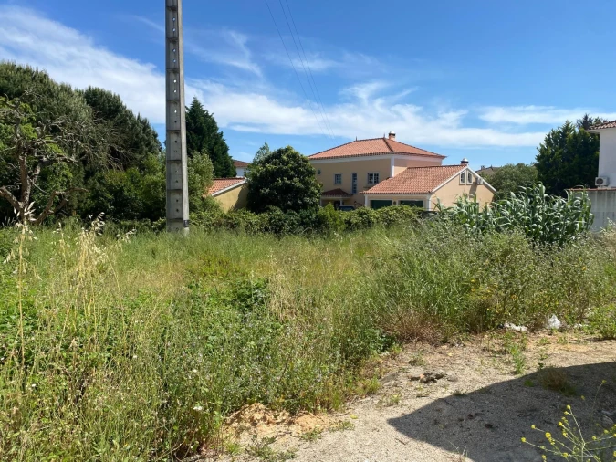 Terreno para Venda em Rio Maior Foto 10