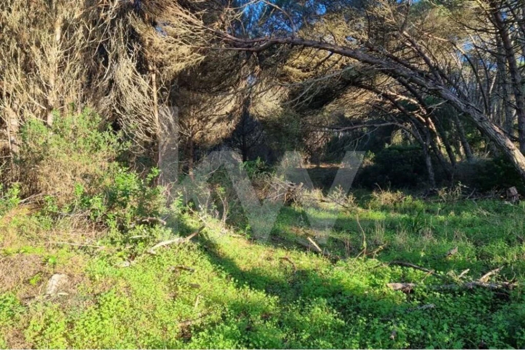 Terreno para Venda em Agualva e Mira-Sintra Foto 12