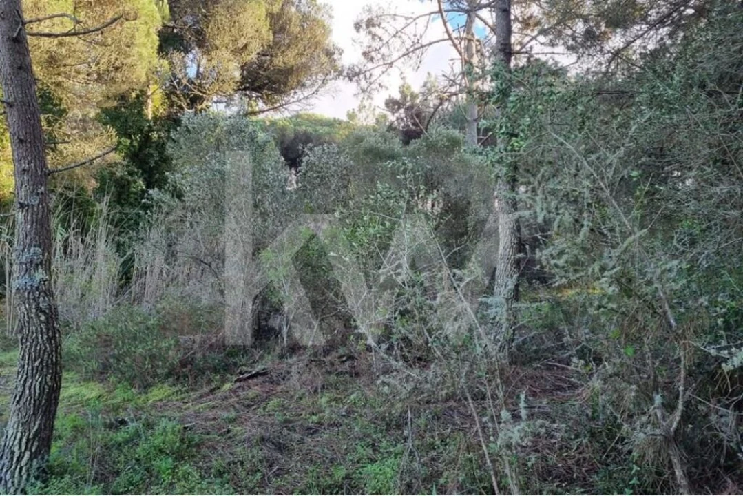 Terreno para Venda em Agualva e Mira-Sintra Foto 14