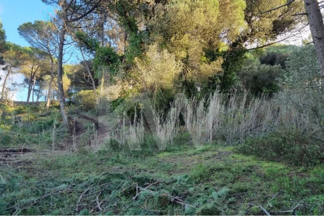 Terreno para Venda em Agualva e Mira-Sintra Foto 1