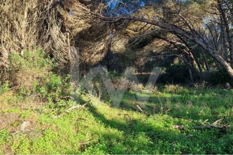 Terreno para Venda em Agualva e Mira-Sintra Foto 12