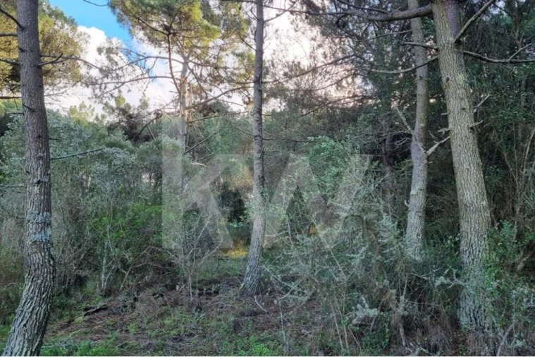 Terreno para Venda em Agualva e Mira-Sintra Foto 6