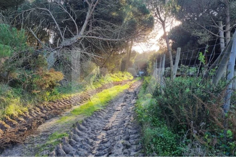 Terreno para Venda em Agualva e Mira-Sintra Foto 8
