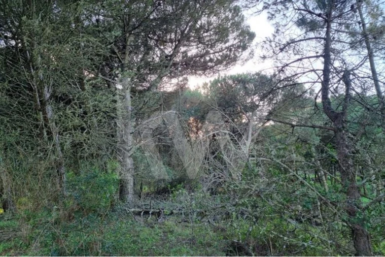 Terreno para Venda em Agualva e Mira-Sintra Foto 4