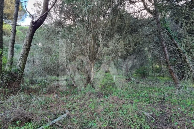 Terreno para Venda em Agualva e Mira-Sintra Foto 7