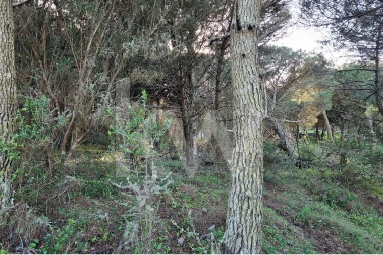 Terreno para Venda em Agualva e Mira-Sintra Foto 3